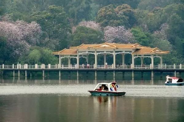 海鲜任吃决战到天明！泡广州最大最靓水疗会所！双早双晚双宵夜！